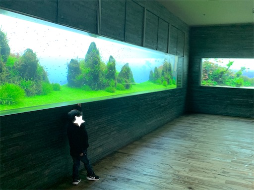 すみだ水族館の水槽