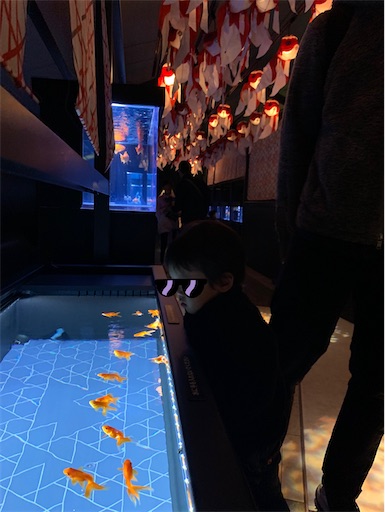 すみだ水族館の金魚