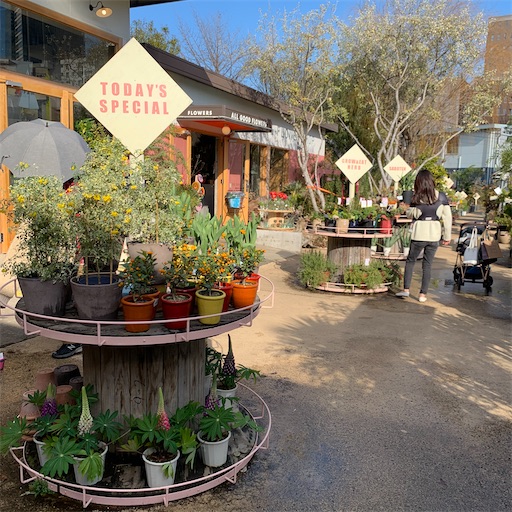 SOLSO PARKの植物達