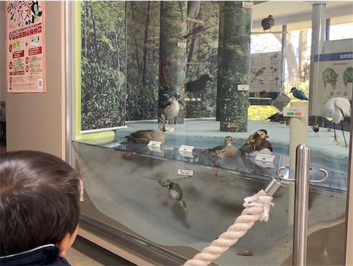 自然教育園の館内