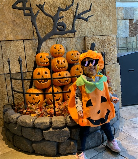 f:id:noopy326:20201106212811j:plain