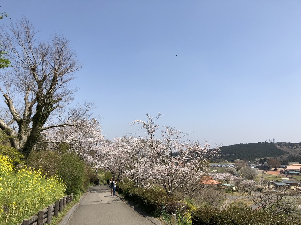 f:id:nopalaqua:20190407182456j:plain f:id:nopalaqua:20190407182456j:plain