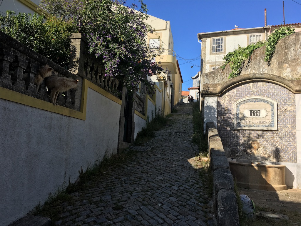 f:id:noppiano:20190824114442j:image f:id:noppiano:20190824114442j:image