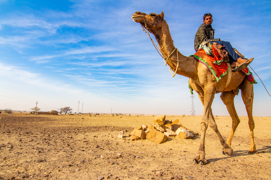 ラクダに乗って砂漠に行きました！～インドの旅11日目～ - 世界の旅レポ～写真を贈る旅人～