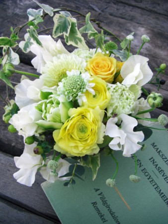 f:id:nora0924:20090125154631j:image