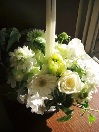 f:id:nora0924:20090127111212j:image f:id:nora0924:20090127111212j:image