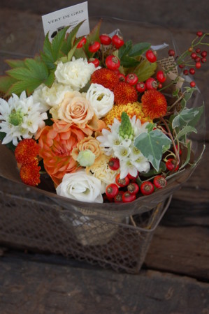 f:id:nora0924:20101102161325j:image f:id:nora0924:20101102161325j:image
