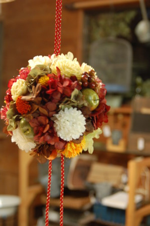 f:id:nora0924:20101104174852j:image f:id:nora0924:20101104174852j:image