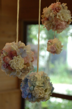 f:id:nora0924:20110607155810j:image f:id:nora0924:20110607155810j:image