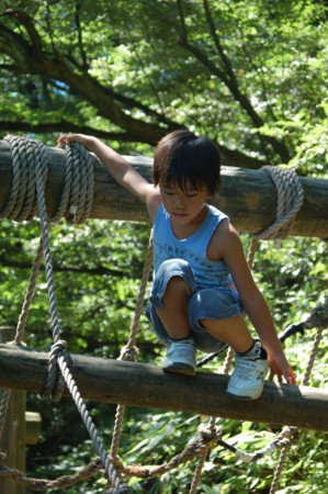 f:id:nora0924:20120820115323j:image