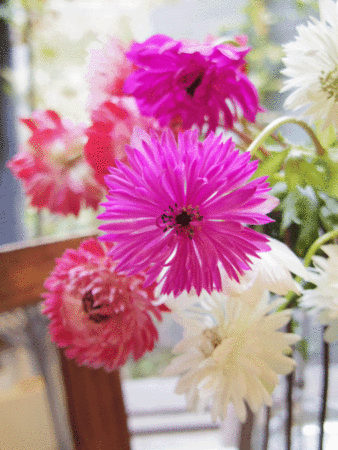 f:id:nora0924:20131209190657g:image:w200