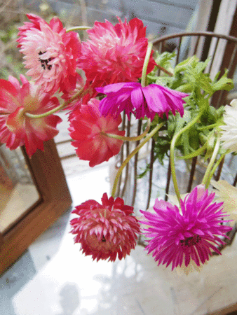 f:id:nora0924:20131209190702g:image:w200:right