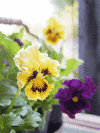 f:id:nora0924:20131230223328g:image:w230 f:id:nora0924:20131230223328g:image:w230