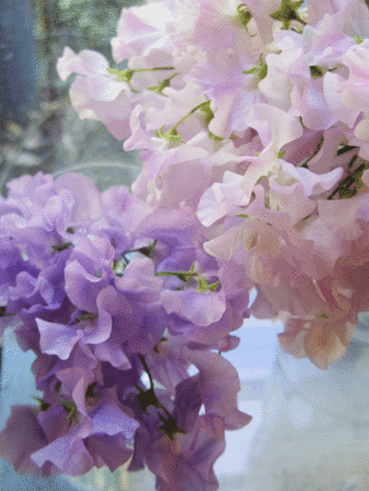 f:id:nora0924:20131230223334g:image:w250:right f:id:nora0924:20131230223334g:image:w250:right