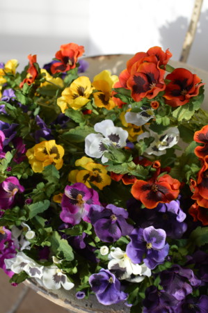 f:id:nora0924:20140205155016j:image