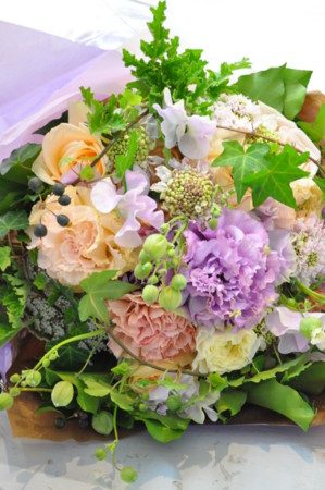 f:id:nora0924:20140226174643j:image
