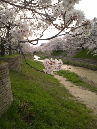 f:id:nora0924:20140402175746j:image