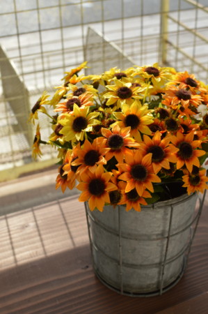 f:id:nora0924:20140409163214j:image f:id:nora0924:20140409163214j:image