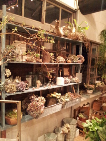 f:id:nora0924:20140416185706j:image:w360