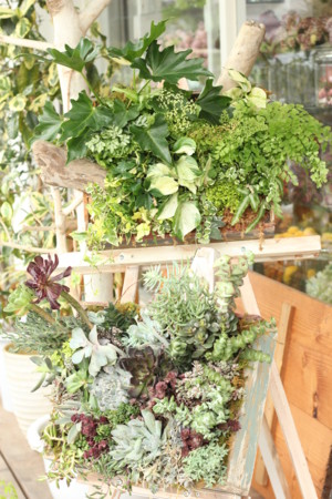 f:id:nora0924:20140703131323j:image f:id:nora0924:20140703131323j:image