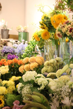 f:id:nora0924:20150731153049j:image