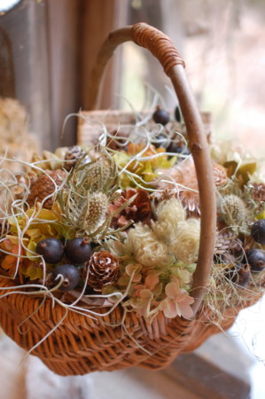 f:id:nora0924:20160113161717j:image f:id:nora0924:20160113161717j:image