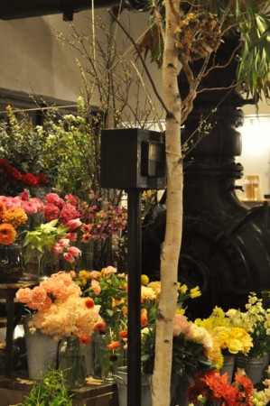 f:id:nora0924:20160113173121j:image