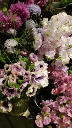 f:id:nora0924:20160123205818j:image f:id:nora0924:20160123205818j:image