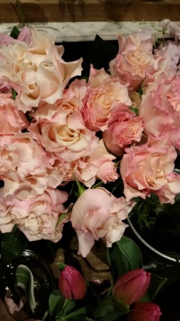 f:id:nora0924:20160123210005j:image f:id:nora0924:20160123210005j:image