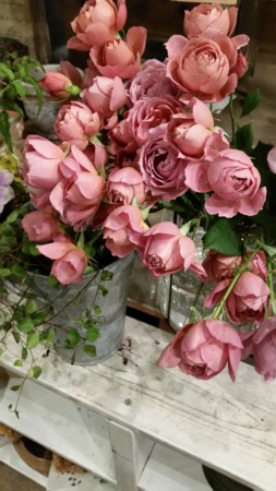 f:id:nora0924:20160123210251j:image f:id:nora0924:20160123210251j:image