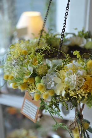 f:id:nora0924:20160209144507j:image f:id:nora0924:20160209144507j:image