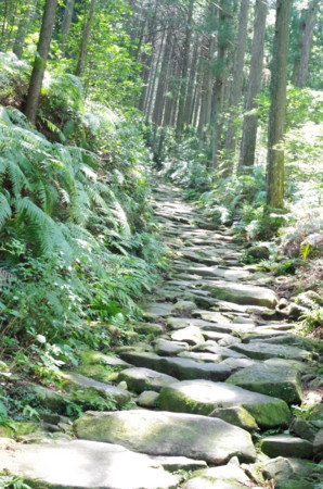 f:id:nora0924:20160809115225j:image f:id:nora0924:20160809115225j:image