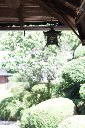 f:id:nora0924:20160831143640j:image f:id:nora0924:20160831143640j:image