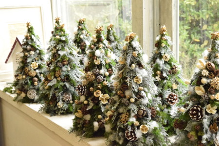 f:id:nora0924:20161031133525j:image f:id:nora0924:20161031133525j:image