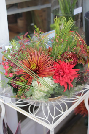 f:id:nora0924:20161231092614j:image