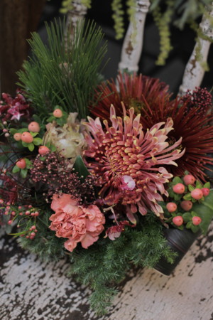 f:id:nora0924:20161231093224j:image