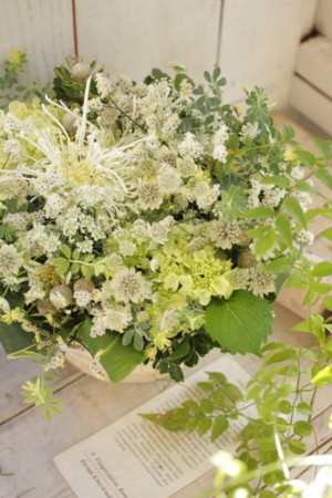 f:id:nora0924:20171113144402j:image f:id:nora0924:20171113144402j:image