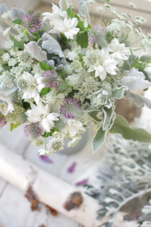 f:id:nora0924:20171115135447j:image f:id:nora0924:20171115135447j:image