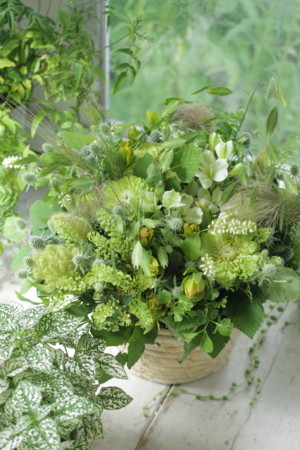 f:id:nora0924:20180611092235j:image f:id:nora0924:20180611092235j:image