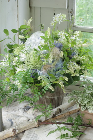 f:id:nora0924:20180612120825j:image f:id:nora0924:20180612120825j:image