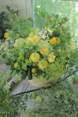 f:id:nora0924:20180616132704j:image f:id:nora0924:20180616132704j:image