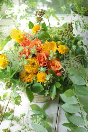 f:id:nora0924:20180617092259j:image f:id:nora0924:20180617092259j:image