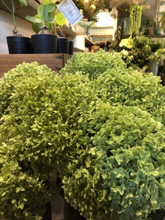 f:id:nora0924:20180711153431j:image f:id:nora0924:20180711153431j:image