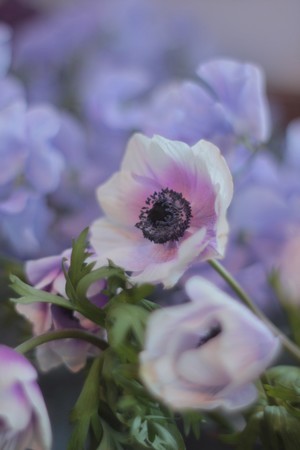 f:id:nora0924:20181229155527j:image