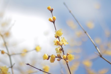 f:id:nora0924:20190116125525j:image