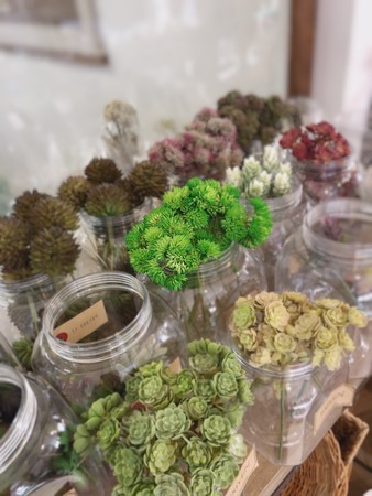 f:id:nora0924:20190123192932j:image