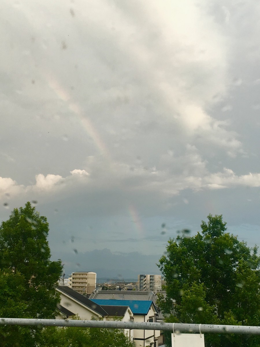 f:id:nora0924:20190725182652j:plain f:id:nora0924:20190725182652j:plain