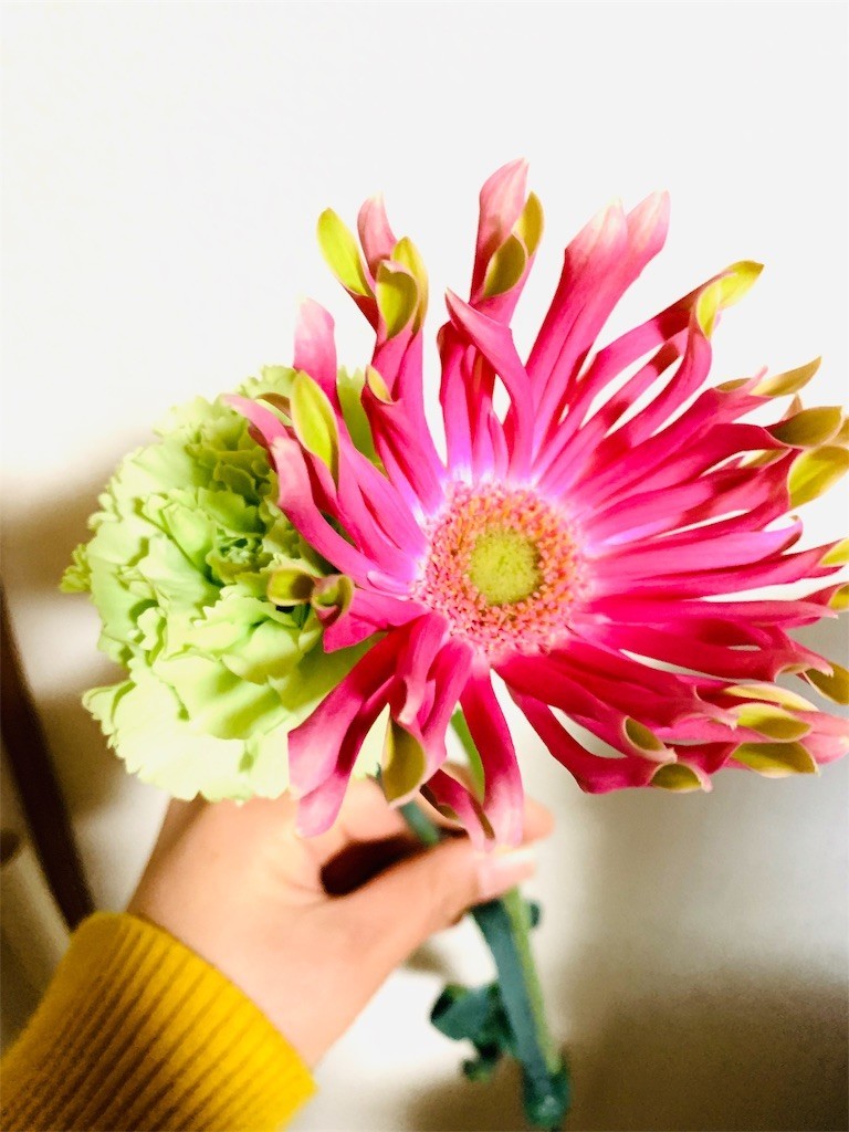 f:id:nora0924:20200324210429j:image