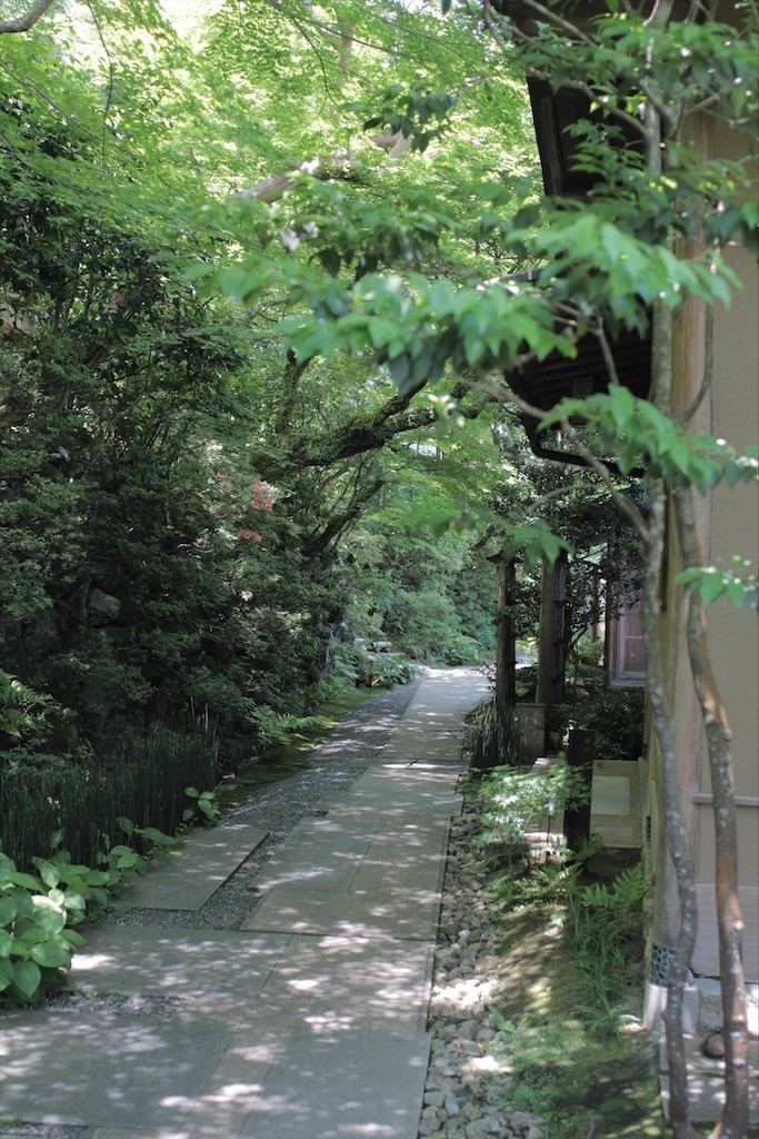 f:id:nora0924:20200601223200j:image f:id:nora0924:20200601223200j:image