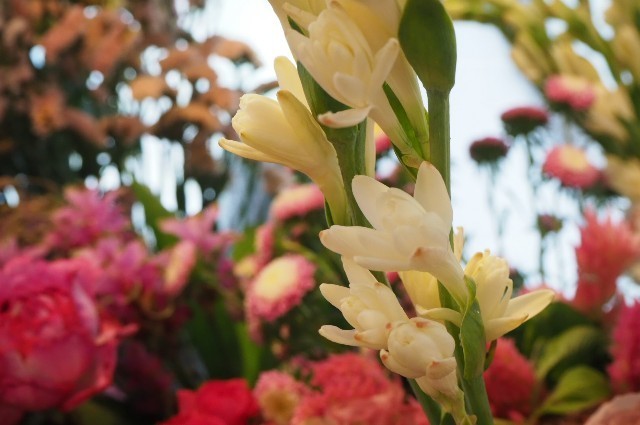 f:id:nora0924:20200710204836j:image